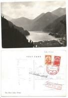 Georgia Abkhazia - The Rytza Ritsa Lake - B/w Pcard USSR Era Really Travelled 7sep1964 - Georgia