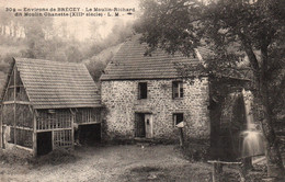 Environs De Brécey (Manche) Le Moulin-Richard (à Eau) Dit Moulin Chanette - Carte L.M. N° 309 - Moulins à Eau