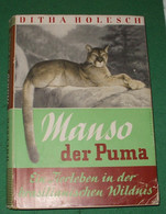 Manso Der Puma - Ein Tierleben In Der Brasilianischen Wildnis - Animales