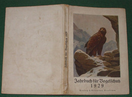 Jahrbuch Für Vogelschutz 1929 - Animali