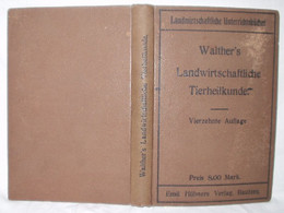 Walthers Landwirtschaftliche Tierheilkunde - Animaux