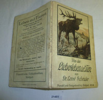 Aus Dem Liebesleben Der Tiere - Biologische Betrachtungen über Die Begattung Im Tierreich - Animaux