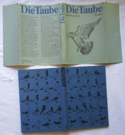 Die Taube - Sporttauben, Ein Fachbuch Für Züchter Und Halter Von Sporttauben - Animals