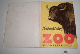 Besucht Den Zoo - Wegweiser Durch Den Tiergarten - Animales