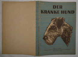 Der Kranke Hund - Animales