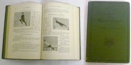 Leitfaden Für Das Mädchenturnen In Den Preußischen Schulen 1913 (Neudruck Von 1916) - Sport