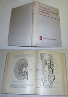 Systematische Und Funktionelle Anatomie Des Menschen - Santé & Médecine