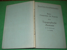 Born`s Compendium Der Anatomie - Topographische Anatomie - Santé & Médecine