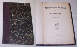 Naturgeschichte Des Kindes - Medizin & Gesundheit