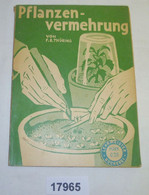 Lehrmeister Bücherei 243: Pflanzenvermehrung Durch Aussaat, Stecklinge, Ableger, Teilung - Botanik