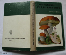 Taschenbuch Für Pilzfreunde - Nature