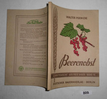Beerenobst - Schriftenreihe - Der Freie Bauer - Band 10 - Botanik