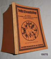 Deutsche Pflanzenschädlinge - Eine Darstellung Der Wichtigsten Deutschen Schädlinge An Den Gewächsen Des Feldes Und Des - Botanik