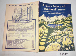 Alpen-, Fels- Und Mauerpflanzen (Lehrmeister-Bücherei Nr. 228/69) - Natuur