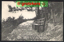 SCHOORL Bank Naar De Orienteertafel Achter Cafe Dennelust Ca 1920 - Schoorl