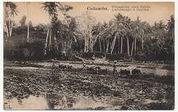 CPA - CEYLAN - COLOMBO - Labourage à Ceylan - Sri Lanka (Ceylon)