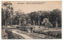 CPA - CEYLAN - COLOMBO - Allée Du Jardin Botanique - Sri Lanka (Ceylon)