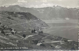 La Corniche Et Signal De Chexbres             Ca. 1950 - Chexbres