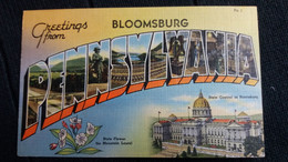 CPA GREETINGS FROM PENNSYVANIA BLOOMSBURG STATE CAPITAL IN HARRISBURG FLOWER MOUNTAIN LAUREL - Harrisburg