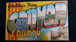 CPA GREETINGS FROM CANYON COUNTRY IDAHO   ED MILES NEWS AGENCY USA 1940 1953 - Sonstige & Ohne Zuordnung