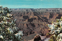 CPM - ARIZONA - Grand Canyon National Park - Gran Cañon