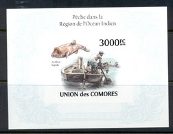 Comoro Is 2010 Fish & Fishing In The Indian Ocean Region MS IMPERF MUH - Comores (1975-...)