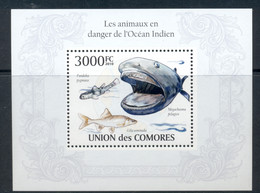 Comoro Is 2010 Endangered Animals In The Indian Ocean, Marine Life MS MUH - Comores (1975-...)