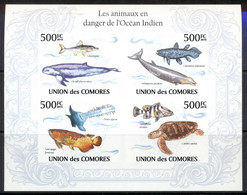 Comoro Is 2010 Endangered Animals In The Indian Ocean, Marine Life MS IMPERF MUH - Comores (1975-...)