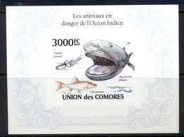 Comoro Is 2010 Endangered Animals In The Indian Ocean, Marine Life MS IMPERF MUH - Comores (1975-...)