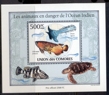 Comoro Is 2009 Endangered Animals In The Indian Ocean, Marine Life Deluxe MS MUH - Comores (1975-...)