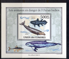 Comoro Is 2009 Endangered Animals In The Indian Ocean, Marine Life Deluxe MS MUH - Comores (1975-...)