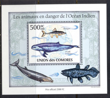 Comoro Is 2009 Endangered Animals In The Indian Ocean, Marine Life Deluxe MS MUH - Comores (1975-...)