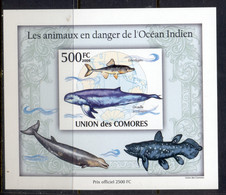 Comoro Is 2009 Endangered Animals In The Indian Ocean, Marine Life Deluxe MS IMPERF MUH - Comores (1975-...)