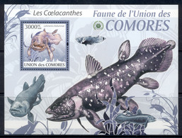Comoro Is 2009 Fauna Of The Comoro Is, Marine Life, Coelecanth MS MUH - Comores (1975-...)