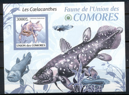 Comoro Is 2009 Fauna Of The Comoro Is, Marine Life, Coelecanth MS IMPERF MUH - Comores (1975-...)