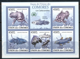 Comoro Is 2009 Fauna Of The Comoro Is, Marine Life, Coelecanth MS IMPERF MUH - Comores (1975-...)