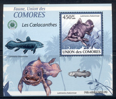 Comoro Is 2009 Fauna Of The Comoro Is, Marine Life, Coelecanth Deluxe MS MUH - Comores (1975-...)