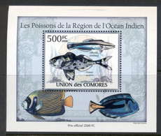 Comoro Is 2009 Marine Life, Fish Of The Indian Ocean Deluxe MS MUH - Comores (1975-...)