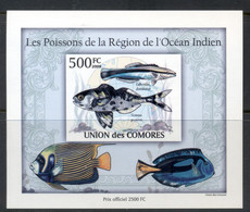 Comoro Is 2009 Marine Life, Fish Of The Indian Ocean Deluxe MS IMPERF MUH - Comores (1975-...)