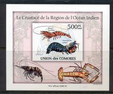 Comoro Is 2009 Marine Life, Crustaceans Of The Indian Ocean Deluxe MS IMPERF MUH - Comores (1975-...)