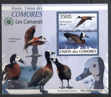 Comoro Is 2009 Birds, Ducks Deluxe MS MUH - Comores (1975-...)