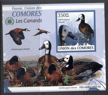 Comoro Is 2009 Birds, Ducks Deluxe MS IMPERF MUH - Comores (1975-...)