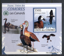 Comoro Is 2009 Birds, Ducks Deluxe MS IMPERF MUH - Comores (1975-...)