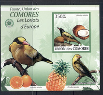 Comoro Is 2009 Birds, Song Birds Deluxe MS MUH - Comores (1975-...)