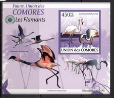 Comoro Is 2009 Birds, Flamingos Deluxe MS IMPERF MUH - Comores (1975-...)