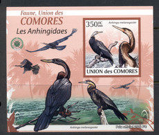 Comoro Is 2009 Birds, Cormorants Deluxe MS IMPERF MUH - Comores (1975-...)