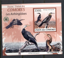 Comoro Is 2009 Birds, Cormorants Deluxe MS IMPERF MUH - Comores (1975-...)