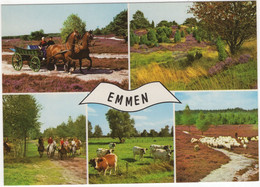 Emmen - Paarden Span, Koeien, Heide, Bomen, Schapen, Zandpad - (Drenthe / Nederland) - L 1927 - Emmen