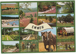 Emmen - Paarden Span, Hond, Bijenkorven, Huifkar, Herder, Ruiters, Camping Etc. (Drenthe / Nederland) - 781 - Emmen