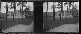 PN 40 Bis - JEUX OLYMPIQUES ALLEMAGNE BERLIN 1936   Entrèe De La Kuppelsaal Avant Les Jeux - Plaques De Verre